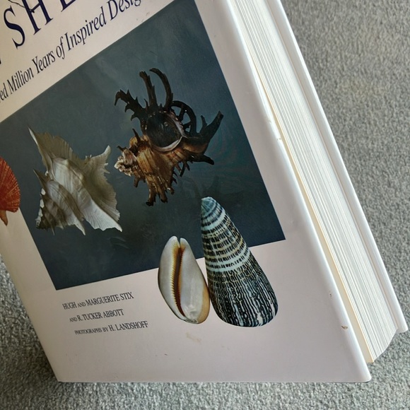 The Shell - coffee table book - Picture 2 of 11